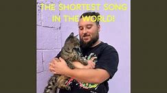 The Shortest Song In The World