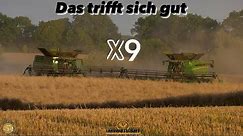 Das trifft sich gut 2x - X9 - 1100 & 8900 Lexion Rapsernte an der Ostsee Großeinsatz Raps dreschen