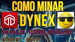 COMO MINAR DYNEX SIN MALLOB - NUEVO TUTORIAL ACTUALIZADO 2024 - WINDOWS Y HIVEOS - DNX