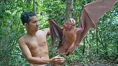 Two Brother Eating Bats Delicious in Forest