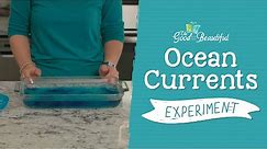 Ocean Currents Experiment | Marine Biology | The Good and the Beautiful