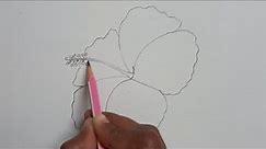 How to draw Hibiscus 🌺flower step by step for Beginners