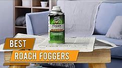 Top 5 Best Roach Fogger Review in 2024