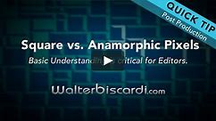 Quick Tip: Post Production, Square vs. Anamorphic Pixels | walterbiscardi.com