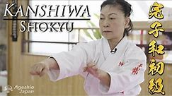 Impressive Kanshiwa Shokyu | Uechi-ryu style Kobukai | Karate | Ageshio Japan