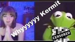 Kermit the frog shows Willy (not real Willy) credit to maxamili