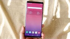 Samsung Galaxy Note 9 In LATE 2019! (Still Worth It?) (Review)