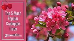 Top 5 Most Popular Crabapple Trees | NatureHills.com