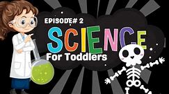 Science For Toddlers| Learn The Body Parts| KiddyReals