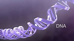 DNA and RNA Basics: Replication, Transcription, and Translation