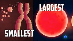 Size of the universe | Smallest to the Largest