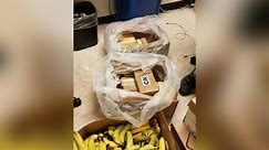 $1M of cocaine found in banana shipments