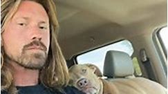 Sweet Pit Bull is going to work with dad!
