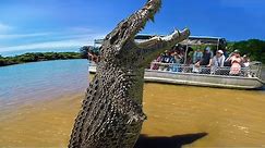 10 Biggest Crocodiles In The World