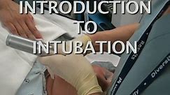 Rent for 1 Week - Introduction to Intubation