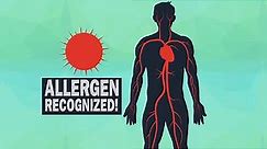 Allergy Relief: Antihistamines vs. Decongestants