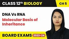 DNA Vs RNA - Molecular Basis of Inheritance | Class 12 Biology Chapter 5