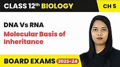 DNA Vs RNA - Molecular Basis of Inheritance | Class 12 Biology Chapter 5