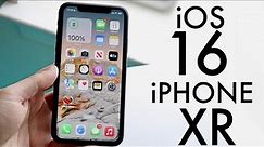 iOS 16 OFFICIAL On iPhone XR! (Review)