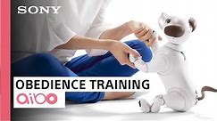 aibo | Obedience Training 101