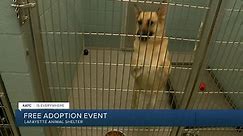 The Lafayette Animal Shelter is offering free pet adoptions this holiday season
