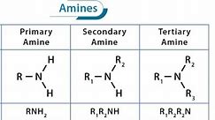 Aliphatic and Aromatic Nitro COMPOUDS(Nomenclature, PREPARATION,REACTIONS)شرح مركبات النيترو والامين