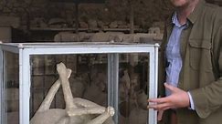 Pompeii: The Bodies in the Basement | Tonight at 9pm