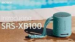 Introducing the Sony SRS-XB100 Portable Wireless Speaker