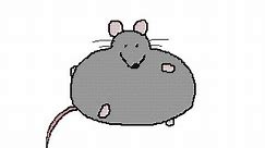 Rats ❤️