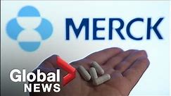 COVID-19: Merck antiviral pill Molnupiravir approved for use in the UK