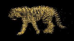 CG animation of a golden tiger walking with glittering particle on black background.