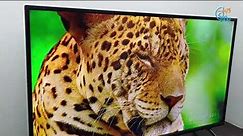 TCL 40" S6500 Smart Android TV - Quik Review