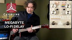 Caroline Guitar Company Megabyte Lo-Fi Delay Computer
