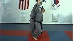 Hapkido Behind Double Wrist Grab Techniques 1 thru 7, Ji Han Jae