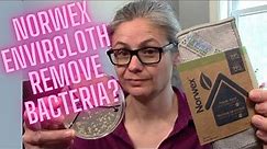 Can you Remove Bacteria by Using Only Water?? I Tested the Norwex Envirocloth with Petri Dishes!