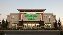 You can finally shop online at Dollar Tree without buying in bulk — these are the best deals