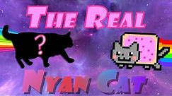 The REAL Nyan Cat (Animation)