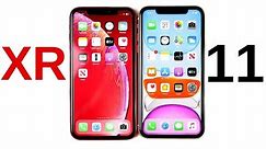 Should You Buy iPhone XR or iPhone 11?