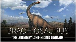 Brachiosaurus: One Of The LARGEST Animals to Ever Exist | Dinosaur Documentary