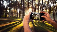 10 Easy Tips and Tricks for Better Smartphone Photos