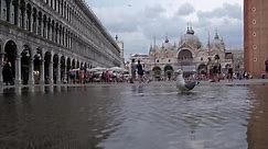 Out of season flooding hits Italy's Venice