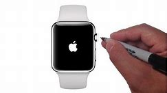 How to Draw the Apple Watch