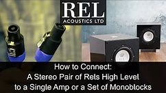 REL Acoustics How To: Connecting a Stereo Pair of RELs using the High Level Cable