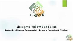 1 1Six Sigma Yellow Belt Series Six sigma Foundations & Principles