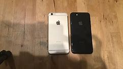 iPhone 8 vs iPhone 6!