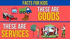 What are GOODS and SERVICES? Educational Fun Facts for Kids