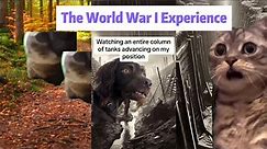 CAT MEMES | The World War I Experience