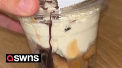 Video shows fly squished in a UK supermarket dessert
