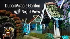 Dubai Miracle Garden at Night 🦉🌜