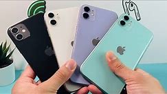 iPhone 11 Black vs White vs Purple vs Green Color Comparison